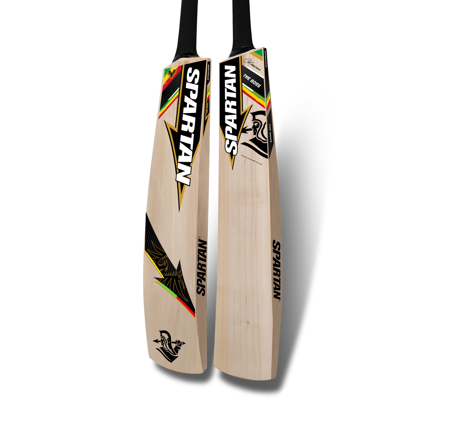 CG ECO 170 - Kashmir Willow Cricket Bat Spartan Sports
