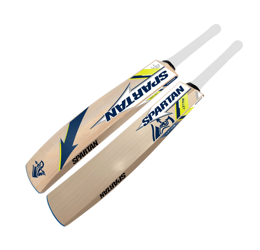 Premium grade English willow bat for leather ball cricket