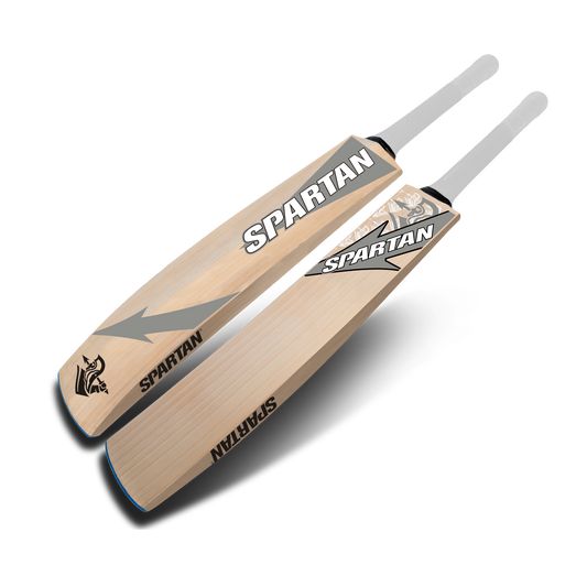 T20 Edition3000 CB 113