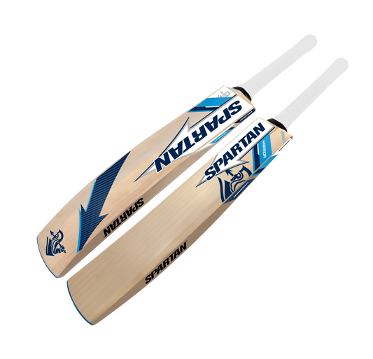 Match ready English willow cricket bat for professionals